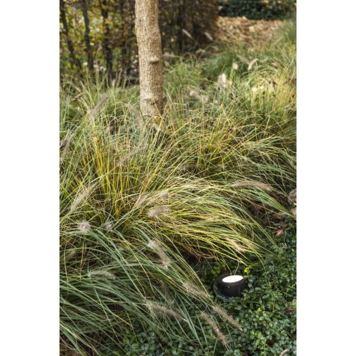 Lutec Lampen LUTEC ARTIC Bodeneinbauleuchte LED Schwarz, 1-flammig 3 Lutec Lampen LUTEC ARTIC Bodeneinbauleuchte LED Schwarz, 1-flammig – Bild 3