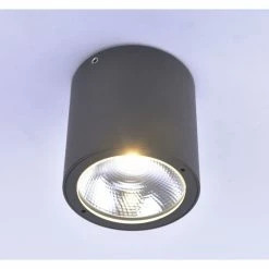 Paul Neuhaus Leuchten Paul Neuhaus GEORG Deckenleuchte LED Anthrazit, 1-flammig