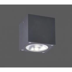 Paul Neuhaus Leuchten Paul Neuhaus GEORG Deckenleuchte LED Anthrazit, 1-flammig