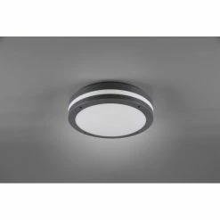 Reality KENDAL Aussendeckenleuchte LED Anthrazit, 1-flammig 9 Reality KENDAL Aussendeckenleuchte LED Anthrazit, 1-flammig -Deutschland Deckenleuchten außen Verkäufe 2022 reality kendal aussendeckenleuchte r62151142 4