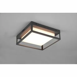 Trio Leuchten Witham Deckenleuchte LED Anthrazit, 1-flammig